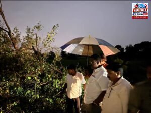 आंधी में गिरे पेड़ों से थमा आवागमन, विधायक ने मौके पर पहुंचकर खुलवाया रास्ता
